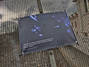 Citace z bakalářské práce se staly také tématem výstavy před Moving Station v rámci festivalu Jeden svět