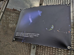 Citace z bakalářské práce se staly také tématem výstavy před Moving Station v rámci festivalu Jeden svět