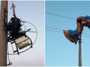 Paraglidista nezvládl nouzové přistání a namotal se do drátů elektrického vedení