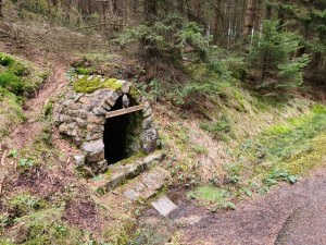 Lesníci zvou dobrovolníky na sérii výprav za studánkami
