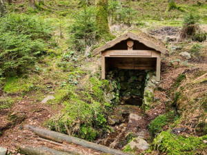 Lesníci zvou dobrovolníky na sérii výprav za studánkami