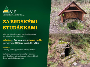 Lesníci zvou dobrovolníky na sérii výprav za studánkami