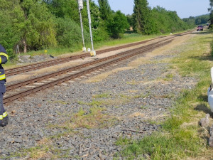 Labutí rodinka vyrazila na procházku k nádraží, do bezpečí ji doprovodili hasiči