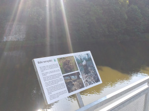 Předražené nic s výhledem nikam, lidé kritizují novou vyhlídku na mostním pilíři u řeky Radbuzy