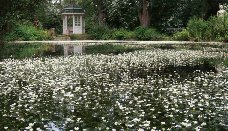 Luftova zahrada je nesmírně romantické místo