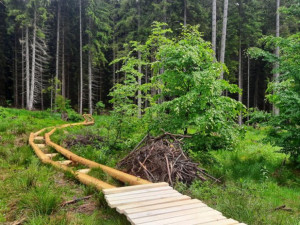 Turisté se díky nové stezce dostanou k Boubínskému jezírku