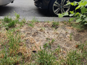 Po vystoupení z auta si musí dávat lidé velký pozor, aby do něčeho nešlápli.