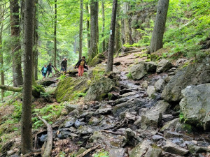 Cesta pralesem. Foto: Dana Šmídová Sillarová