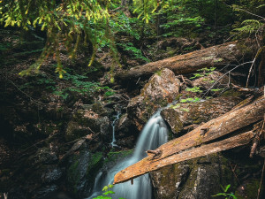 Vodopády uprostřed pralesa