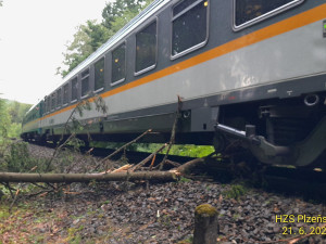 U České Kubice najel vlak do padlého stromu