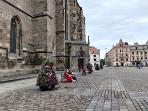 ANKETA: Jak se vám líbí květinová výzdoba na náměstí Republiky?
