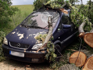 Na Domažlicku padl ve čtvrtek strom na jeden automobil