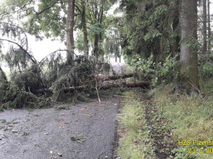 I když bouře nesplnila očekávání, přesto na Domažlicku padaly stromy