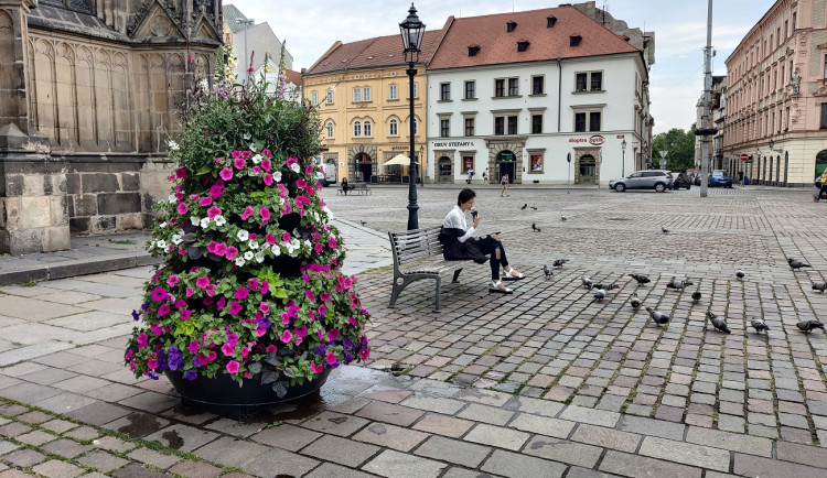 ANKETA: Jak se vám líbí květinová výzdoba na náměstí Republiky?
