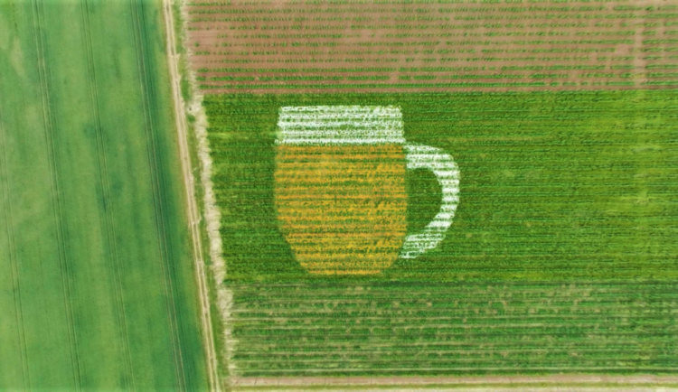 obri-pullitr-z-kytek-1024x576