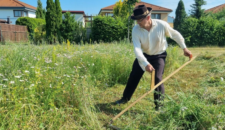 František Baloun při sekání trávy kosou.