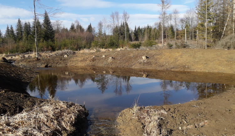 V lesích na Liberecku a Českolipsku je několik desítek nových tůní