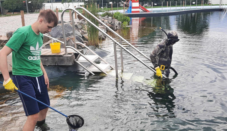 V koupacím jezírku se potvrdil výskyt vodních parazitů způsobujících svědivou vyrážku. Experti teď nádrž čistí od původců zamoření