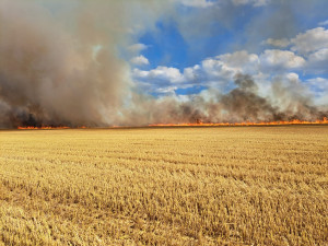 VIDEO: S obrovským požárem pole bojovalo 22 jednotek hasičů, práci jim komplikoval silný vítr