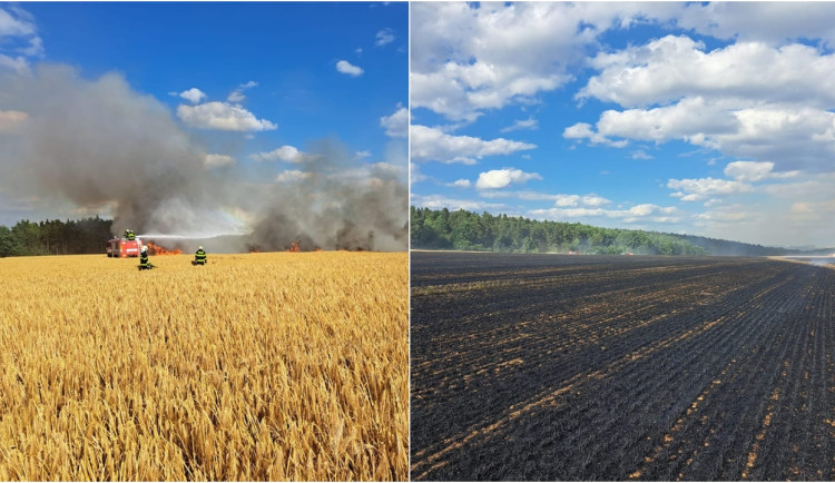 VIDEO: S obrovským požárem pole bojovalo 22 jednotek hasičů, práci jim komplikoval silný vítr