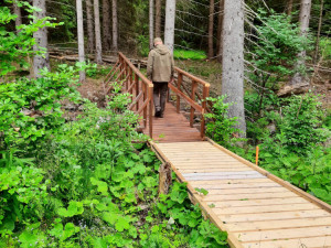 Lidé mohou díky nové stezce opět vidět Boubínský prales. Trasa za půl milionu korun vede k jezírku