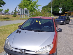Řidič tohoto vozu zaparkoval na kruhovém objezdu u nemocnice. Za volantem automobilu ale vůbec neměl sedět