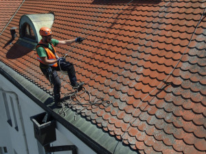 Záchrana poštolčích mláďat, která spadla do sběrače vody u okapu na jedné budově v objektu plzeňského pivovaru