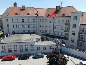 Záchrana poštolčích mláďat, která spadla do sběrače vody u okapu na jedné budově v objektu plzeňského pivovaru