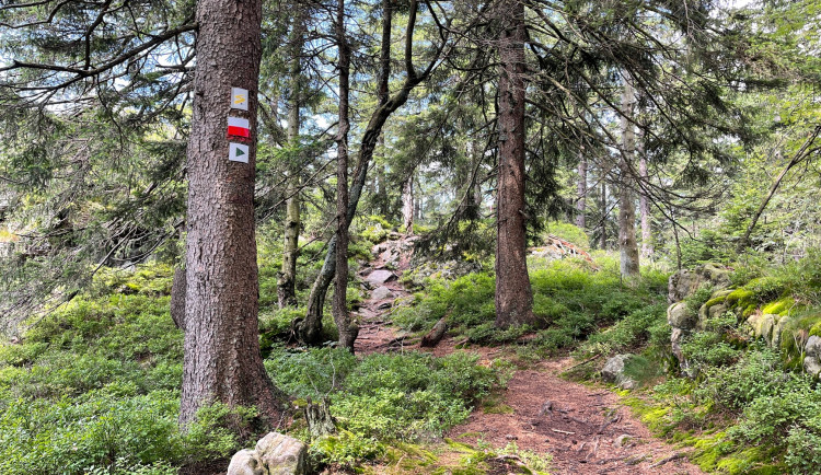 Zato část Zlaté stezky vede na bavorské straně