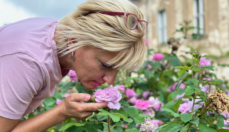 Omamná vůně tisíců květů ze 110 druhů růží mnoha barev provoněla zahradu zámku v Nebílovech