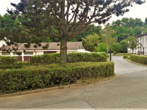 Skupina odsouzených osob z plzeňské věznice zvelebovala areál domova pro seniory