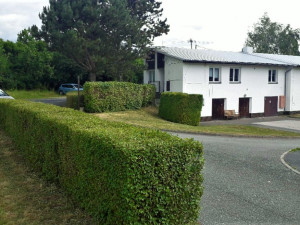 Skupina odsouzených osob z plzeňské věznice zvelebovala areál domova pro seniory