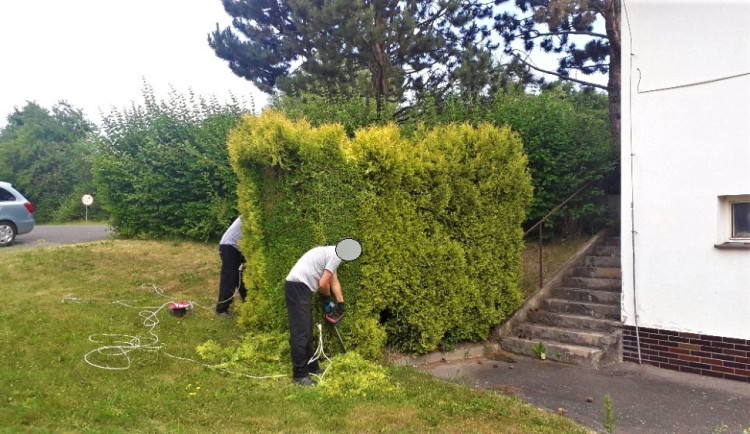 Skupina odsouzených osob z plzeňské věznice zvelebovala areál domova pro seniory