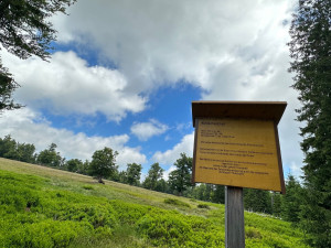 Objevte dechberoucí historické vysokohorské pastviny. Stačí překonat hranici ze Šumavy do Bavorského lesa