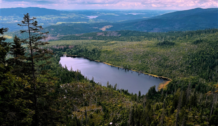 Plešné jezero v NP Šumava
