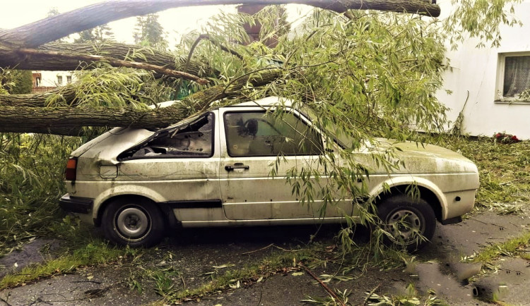 Nejvíce stromů popadalo na Domažlicku