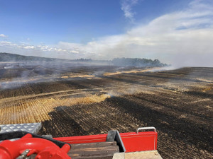 V příšerném vedru bojují hasiči s obrovským požárem pole a lesa na ploše 25 hektarů. Hořet začalo od balíkovače