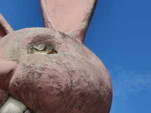 Kontroverzní socha růžového králíka se rozpadá před očima, kvůli špatnému stavu bude obvod jednat o jeho dalším osudu