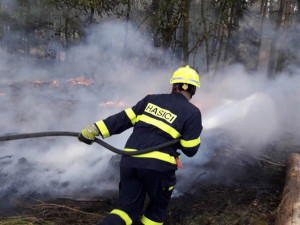 Nevychovaní návštěvníci způsobili už dva požáry v městských lesích, porosty trápí obrovské sucho