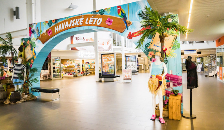 size4-16895839353256-207-v-aquapalace-praha-je-havaj