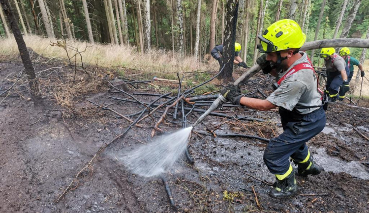 U Jablonného hořel les, hasičům se povedlo oheň lokalizovat