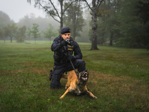 Feny lépe vycítí drogy, psi dokonale vystopují a zadrží lupiče. Psovodi mají v Plzeňském kraji přes 70 čtyřnohých parťáků