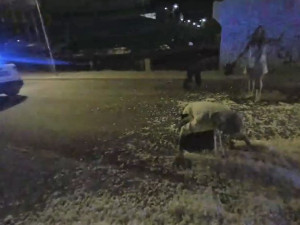 U Ježíška se na umělém sněhu rochnila parta rozdováděných mladých bezdomovců. Udělali si tam Vánoce