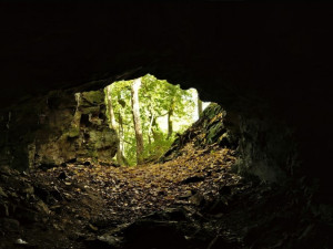 Přírodní rezervace Krašov