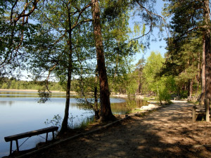 Bolevecké rybníky, foto: Visit Pilsen