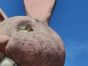 Socha růžového králíka by měla zůstat, přejí čtenáři Drbny v anketě, osud díla je stále nejistý