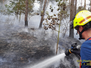 Hasiči bojují v Plzeňském kraji současně na dvou místech s rozsáhlými požáry lesa a pole