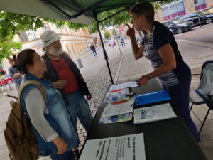 Odpůrci gigafactory chtějí vyvolat referendum, aby město zablokovalo své pozemky v Líních