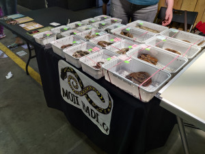 Je to blbost a další diktát EU, kritizuje odborná veřejnost návrh na drsnou regulaci chovů vybraných druhů zvířat