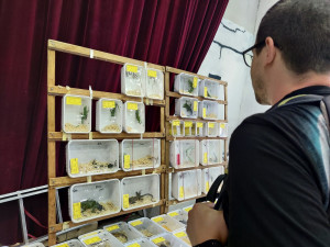 Je to blbost a další diktát EU, kritizuje odborná veřejnost návrh na drsnou regulaci chovů vybraných druhů zvířat